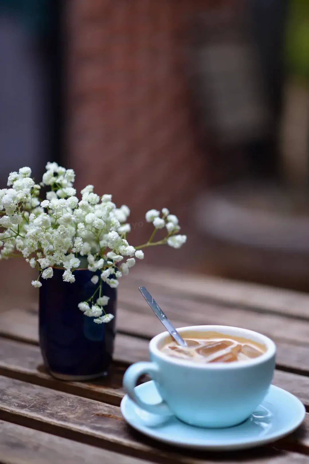 Coffee Studio Tokyo 14